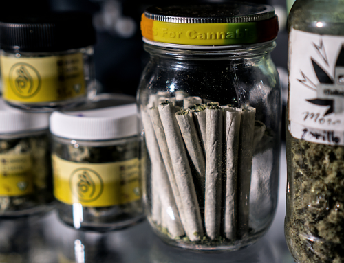 Why Security is so Critical in the Cannabis and Medical Marijuana Industry