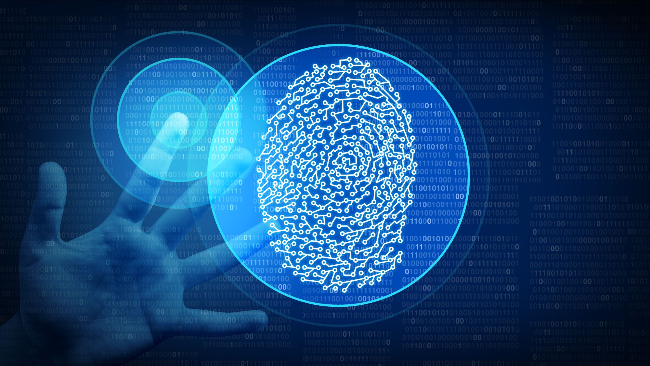 Biometric Security in St. Louis