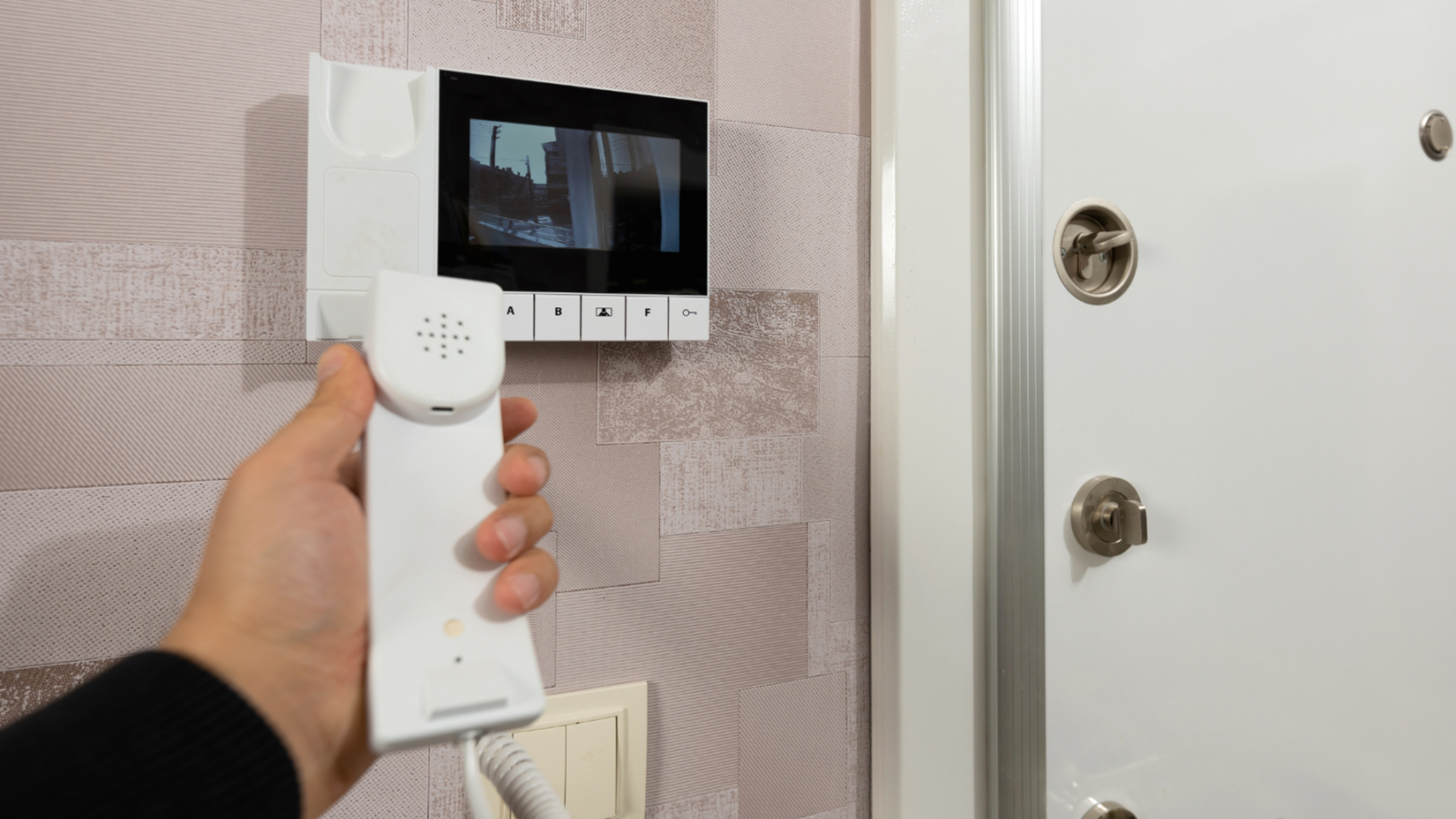 Biometric Security in St. Louis