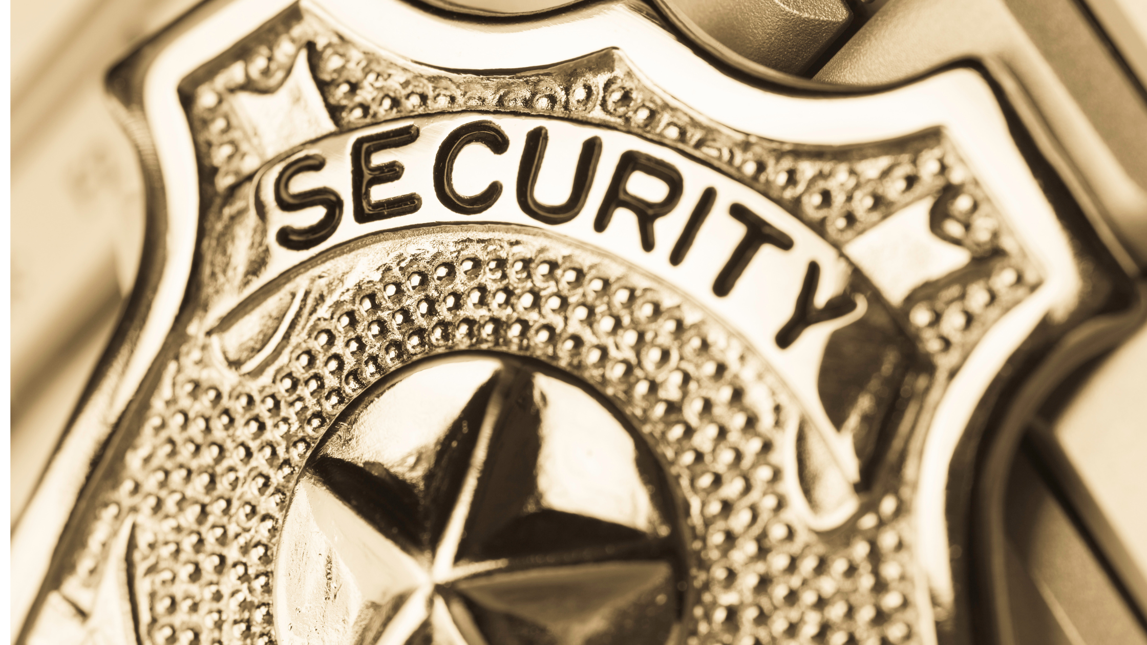 Business Security Systems in St. Louis 